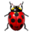 Tools report bug icon 48x48
