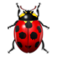 Tools report bug icon 64x64