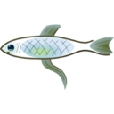 Fish icon