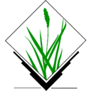 Grass icon