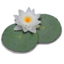 Lilypond icon