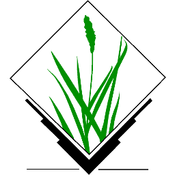 Grass icon 256x256