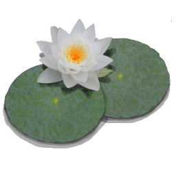 Lilypond icon 256x256