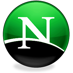 Netscape icon 256x256