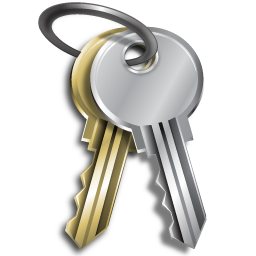System password icon 256x256