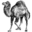 Development perl icon 32x32