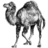 Development perl icon 48x48