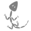Fossil icon 64x64
