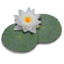 Lilypond icon 64x64