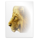 Application dvi icon