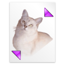 Application tex pk icon