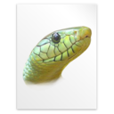 Text python icon