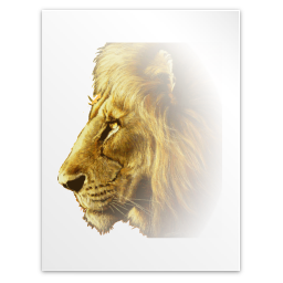 Application dvi icon 256x256