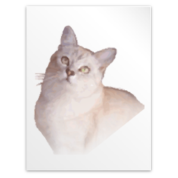 Application tex gf icon 256x256