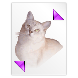 Application tex pk icon 256x256
