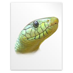 Text python icon 256x256