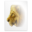 Application dvi icon 32x32