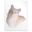 Application tex gf icon 32x32