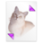 Application tex pk icon 48x48