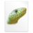 Text python icon 48x48