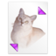Application tex pk icon 64x64