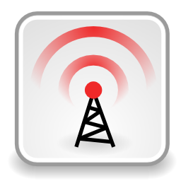 Network wireless icon 256x256