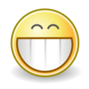 Face grin icon