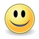 Face smile icon