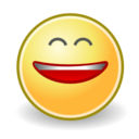 Face smile big icon