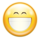 Face smile big icon