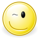 Face wink icon