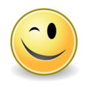 Face wink icon