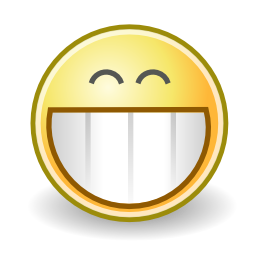 Face grin icon 256x256