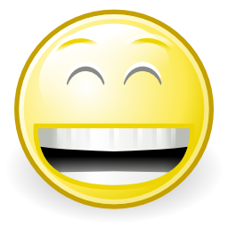 Face laugh icon 256x256