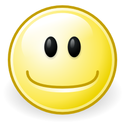 Face smile icon 256x256