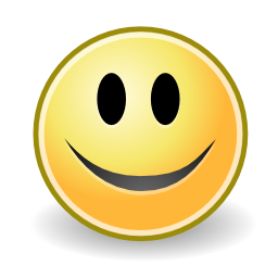 Face smile icon 256x256