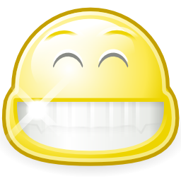 Face smile big icon 256x256