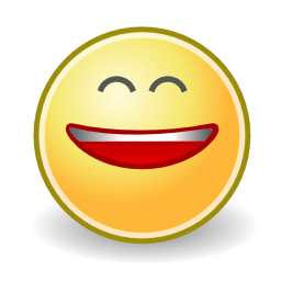 Face smile big icon 256x256