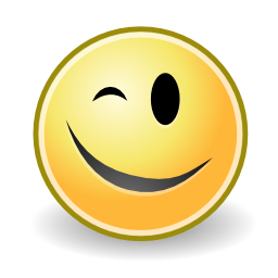Face wink icon 256x256
