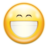 Face smile big icon 48x48