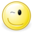 Face wink icon 48x48