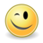 Face wink icon 48x48