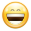 Face laugh icon 64x64