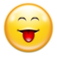 Face raspberry icon 64x64