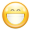 Face smile big icon 64x64