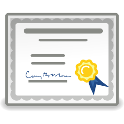 Application certificate icon 256x256
