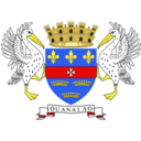 Flag bl icon