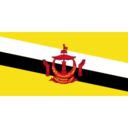 Flag bn icon