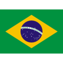 Flag br icon