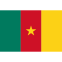 Flag cm icon